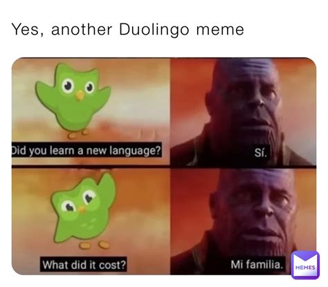 memes duolingo|Duolingo Memes .